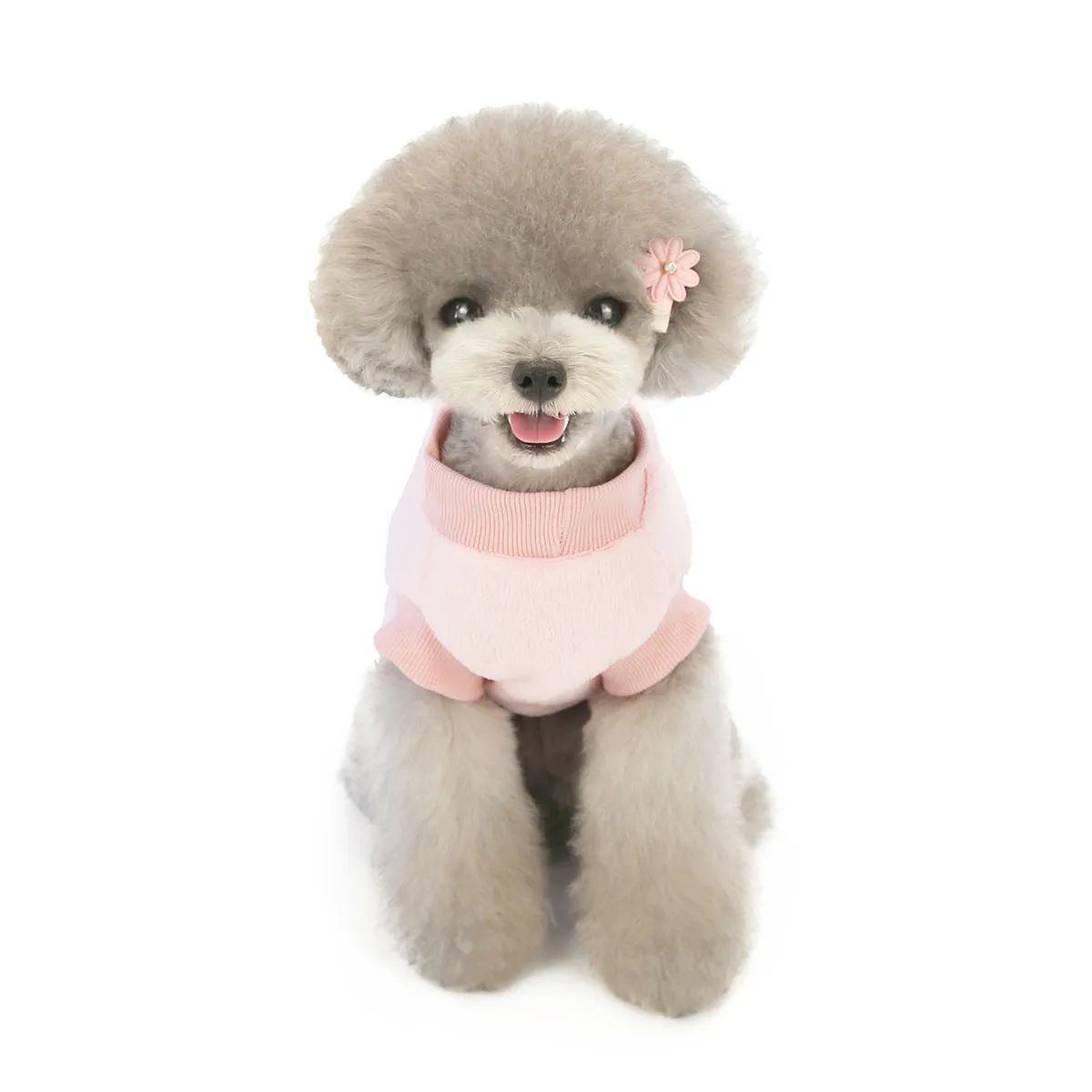 Small dog coral fleece home clothes pet clothes