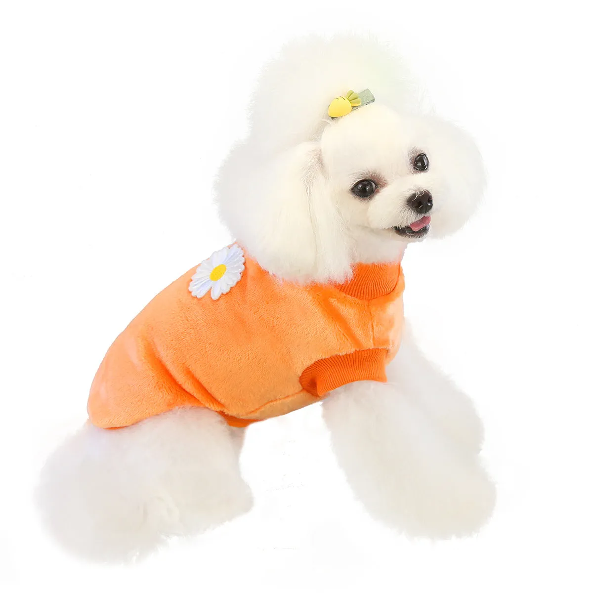 Small dog coral fleece home clothes pet clothes