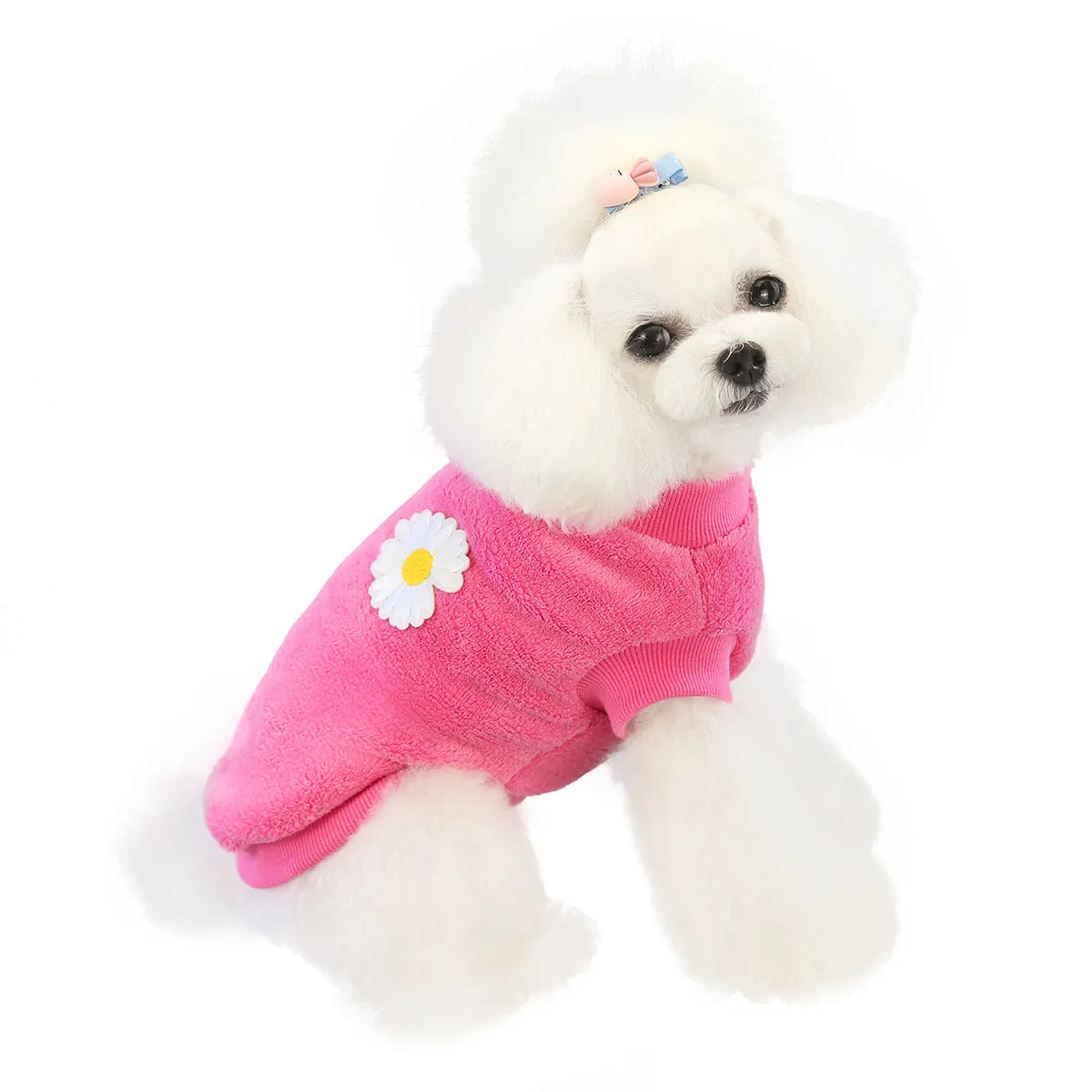 Small dog coral fleece home clothes pet clothes