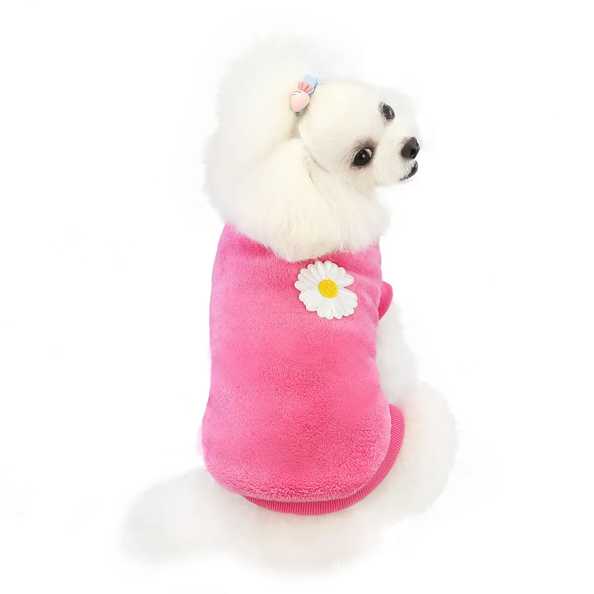 Small dog coral fleece home clothes pet clothes