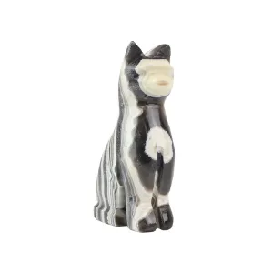 Zebra Onyx Cat