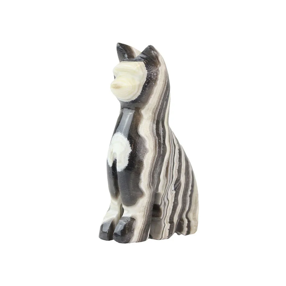 Zebra Onyx Cat